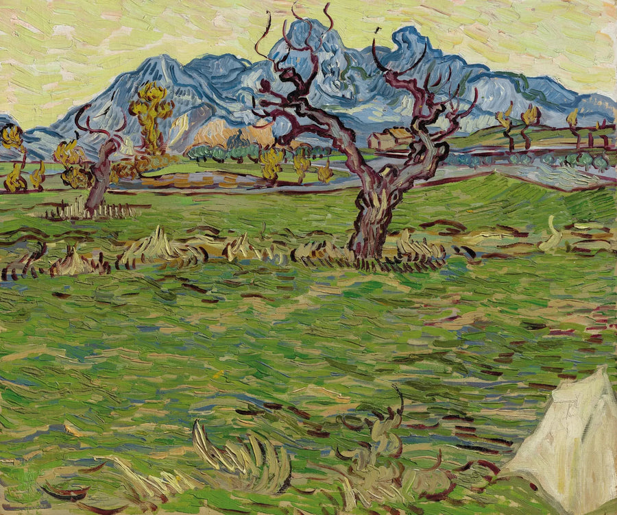 Alpilles yakınlarındaki tarlalar - Vincent van Gogh