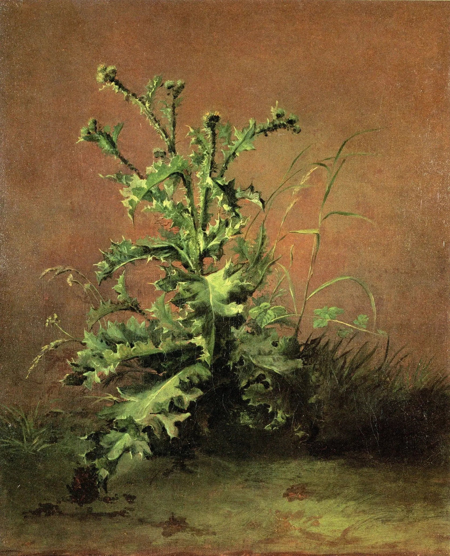 Kızılcıklar - Édouard Manet