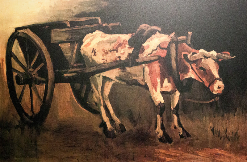 Kırmızı ve beyaz öküzle araba - Vincent van Gogh