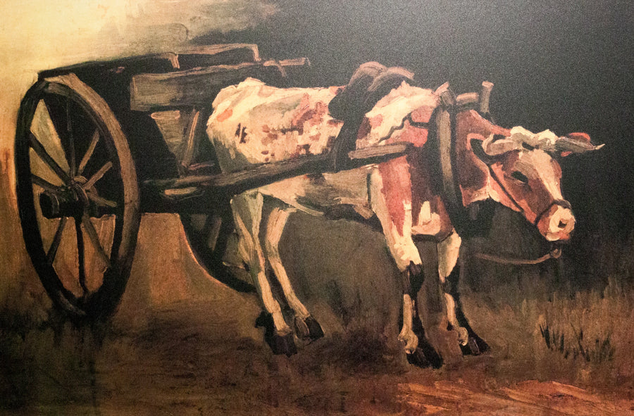 Kırmızı ve beyaz öküzle araba - Vincent van Gogh