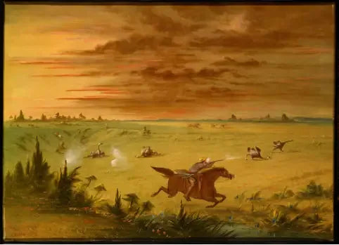 ostrich avı, Buenos Aires - Auca - George Catlin