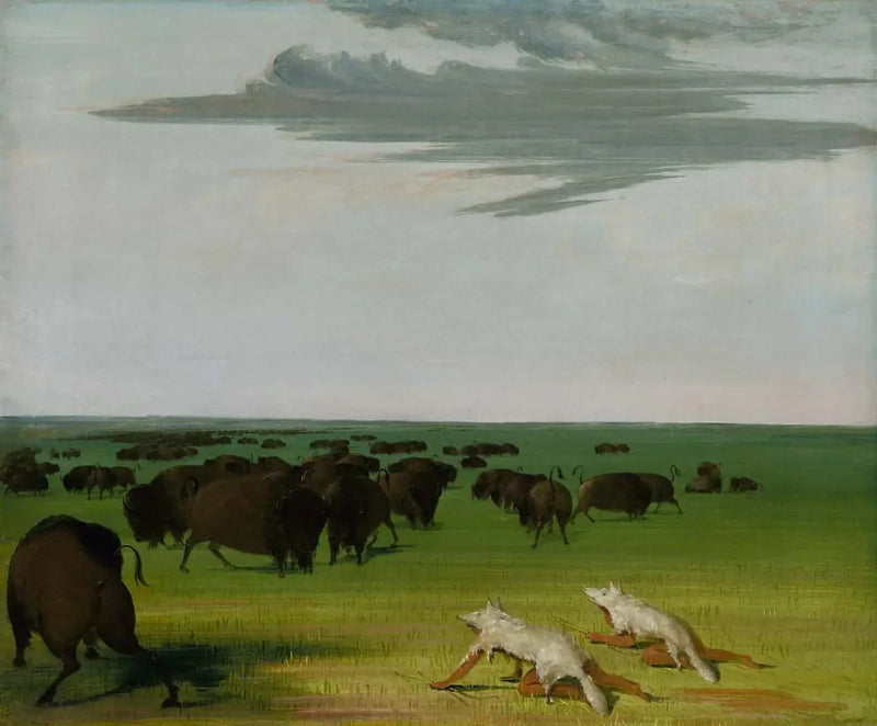 Kurt Derisi Maskesi Altında Bison Avı - George Catlin