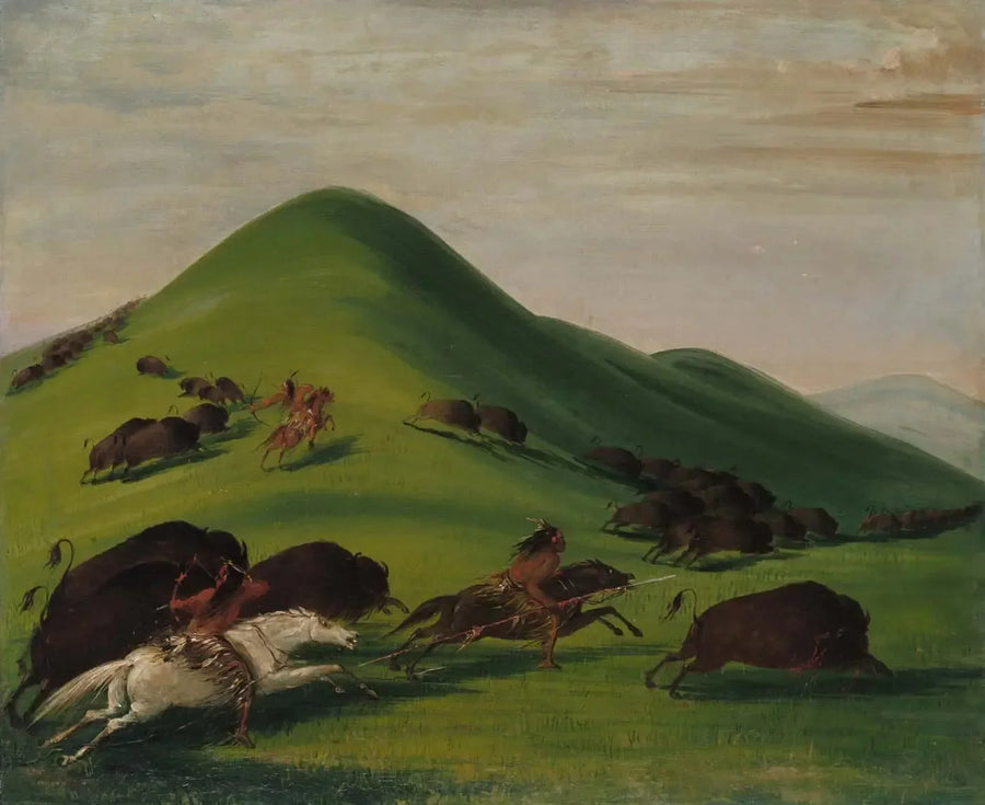 Prairie Bluffs'ta Bisonguşu - George Catlin