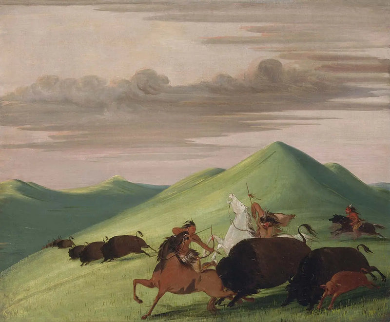 Bizon avı, bir boğanın bir ineği ve buzağını koruması - George Catlin