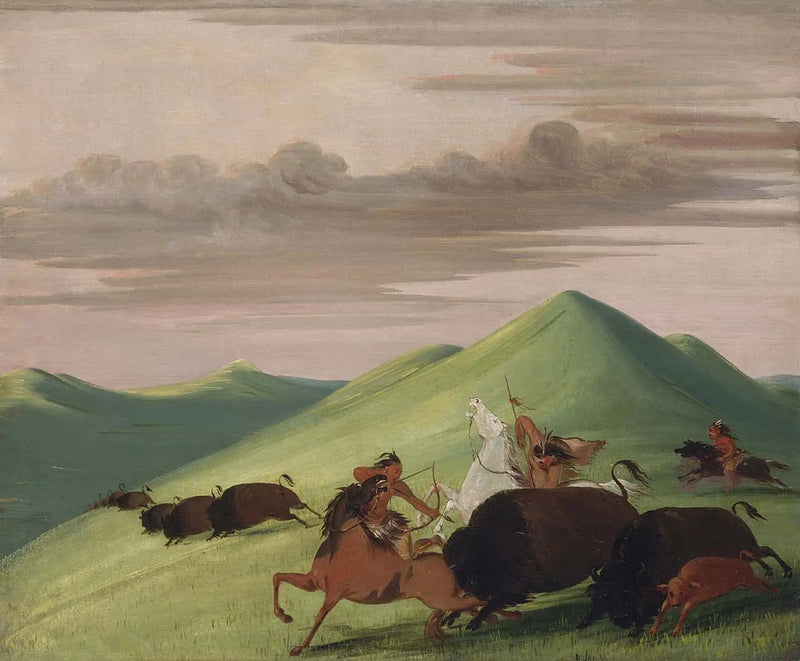 Bizon avı, bir boğanın bir ineği ve buzağını koruması - George Catlin