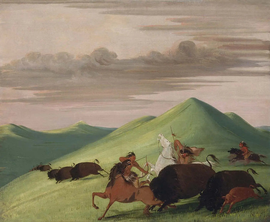 Bizon avı, bir boğanın bir ineği ve buzağını koruması - George Catlin