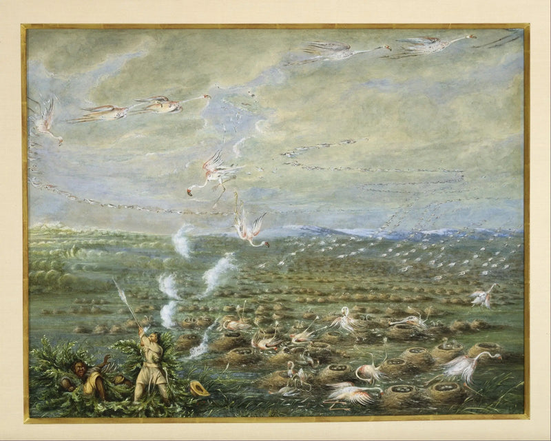 Güney Amerika'da pembe flamingo avı - George Catlin
