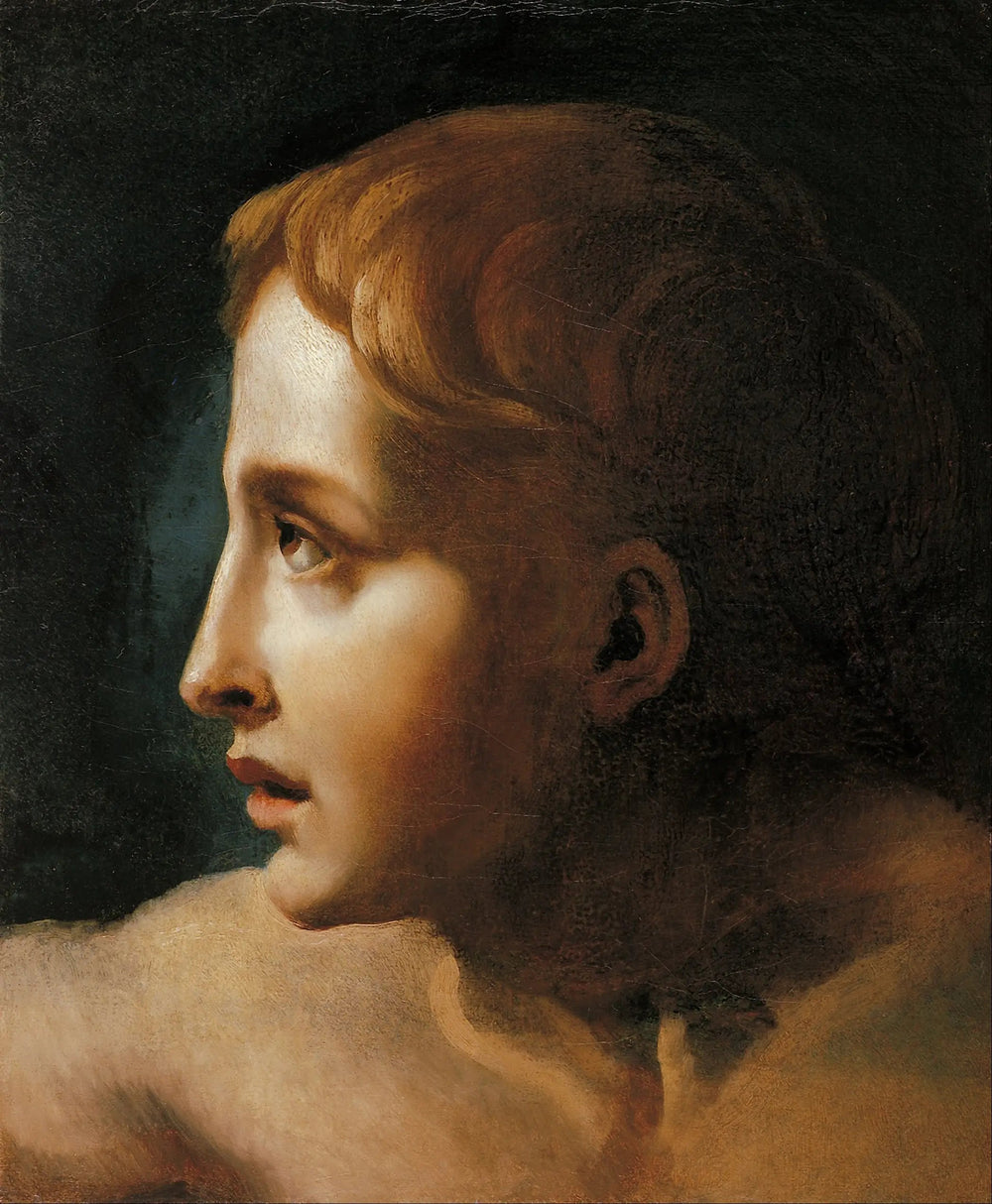 Chef d'un jeune - Théodore Géricault image 1 copie peinte à la main à l’huile