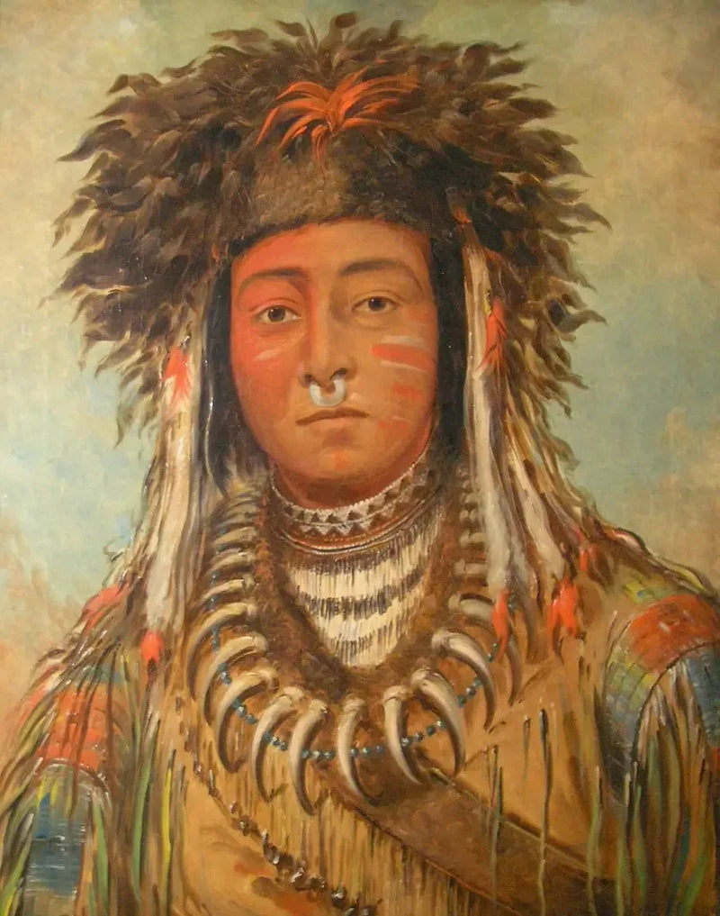 Çocuklar Başkanı - Ojibbeway - George Catlin