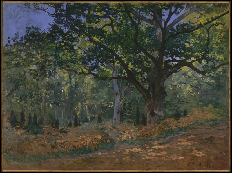 Bodmer Meşesi, Fontainebleau ormanı W60 - Claude Monet