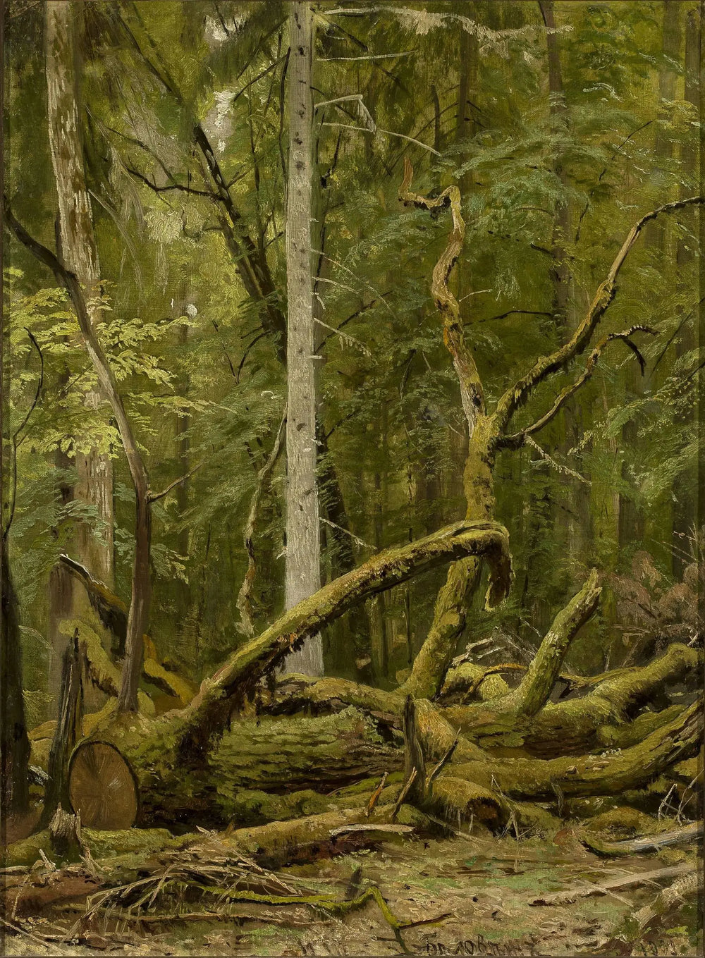 Chêne scié - Ivan Chichkine - Alpha Reproduction