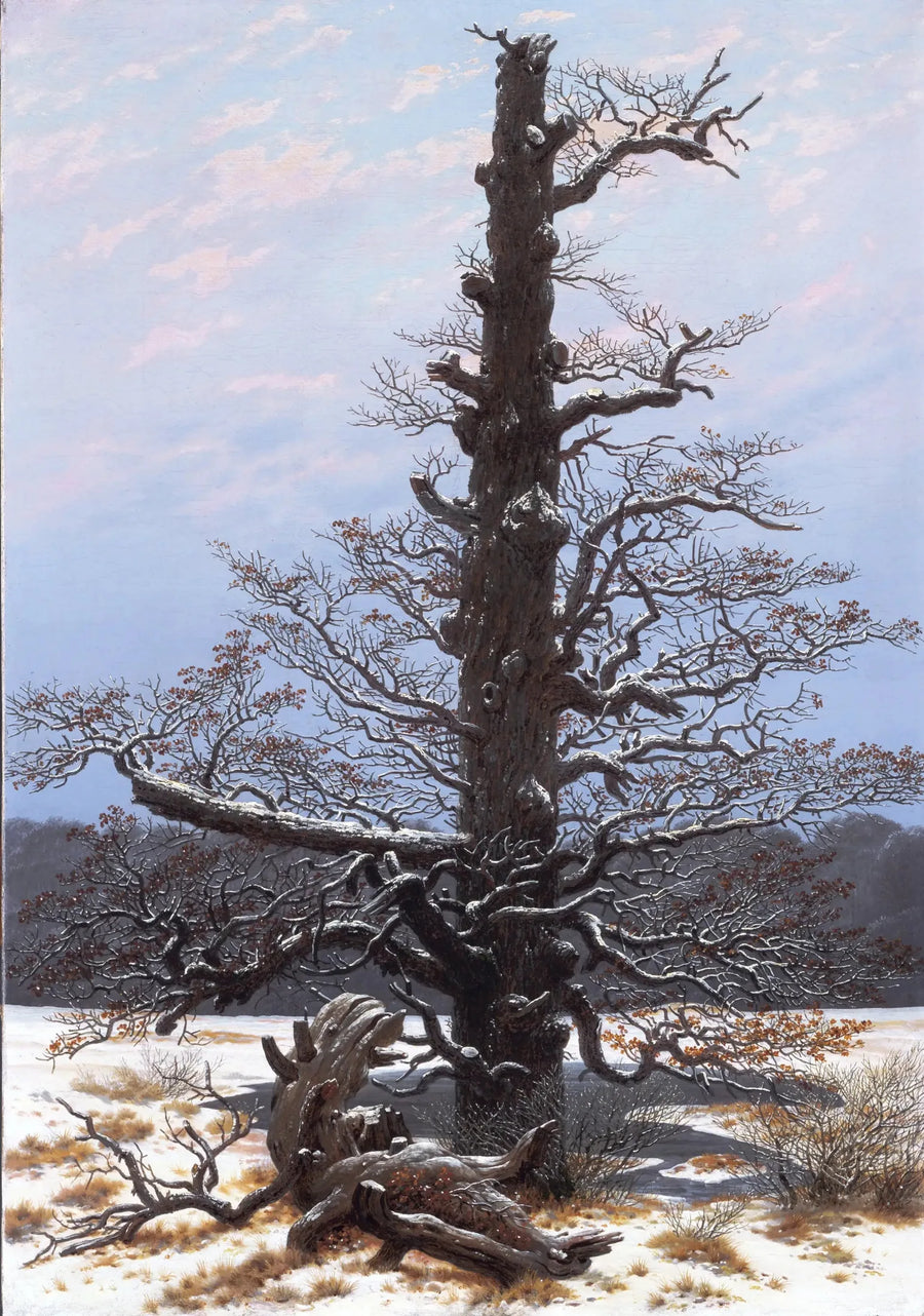 Kar Altındaki Meşe - Caspar David Friedrich