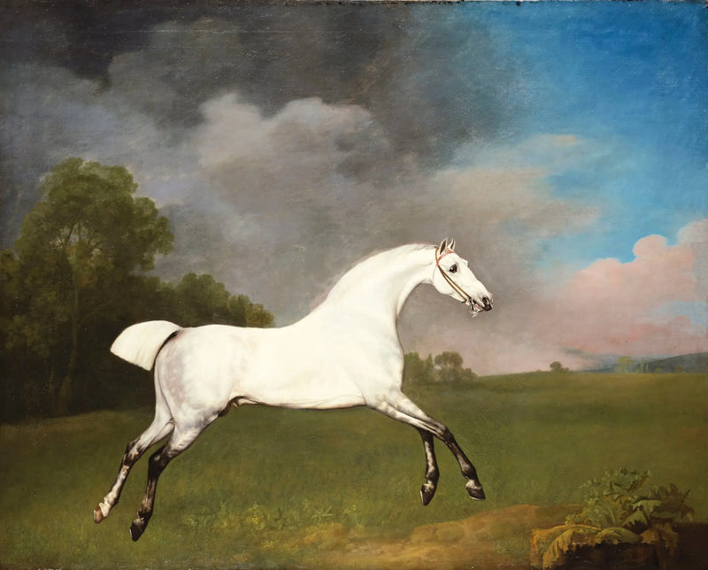 Gri at koşarken bir tarlada - George Stubbs