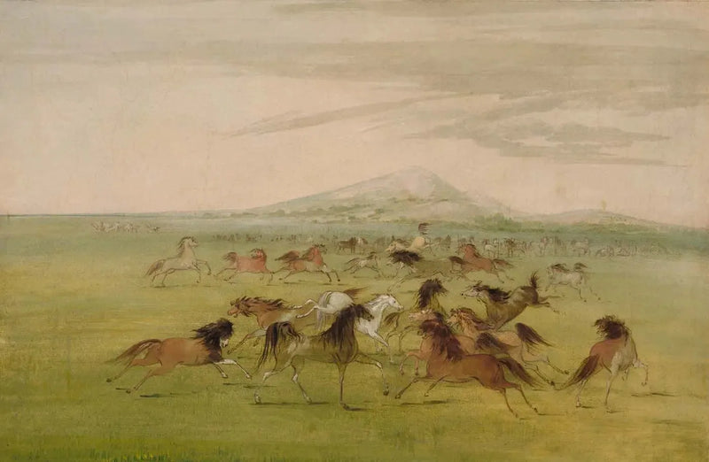 Oyunda Yabani Atlar - George Catlin