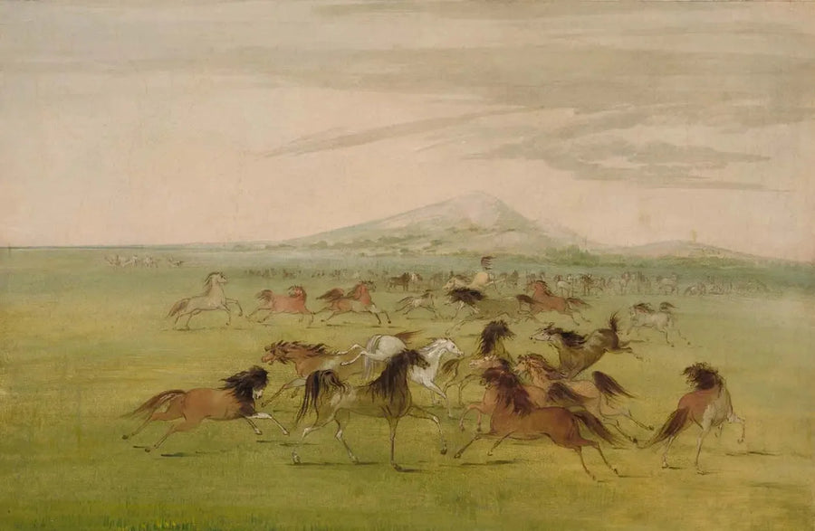 Oyunda Yabani Atlar - George Catlin