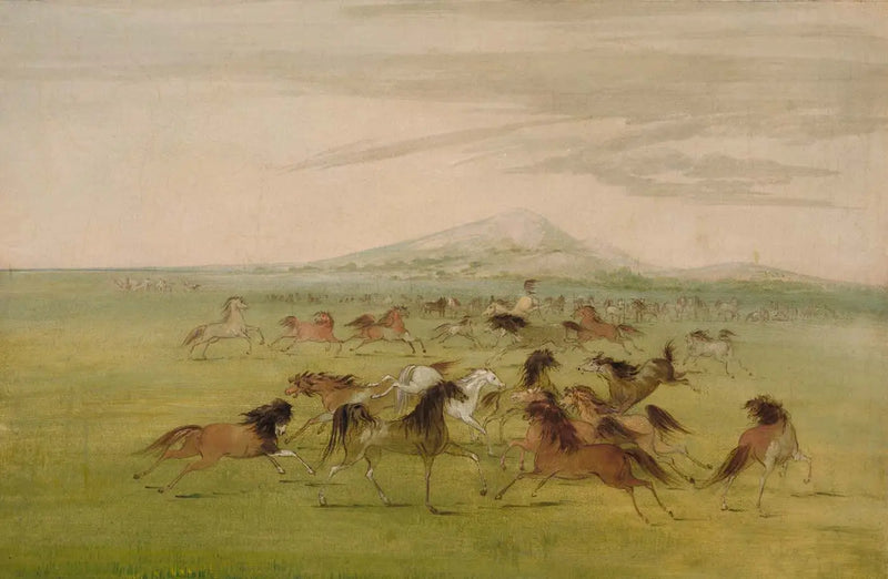 Oyunda Yabani Atlar - George Catlin