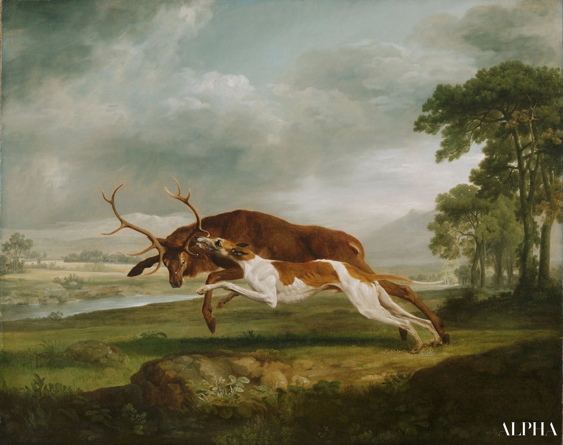 Chien courant sur un cerf - George Stubbs - Reproductions de tableaux et peintures haut de gamme