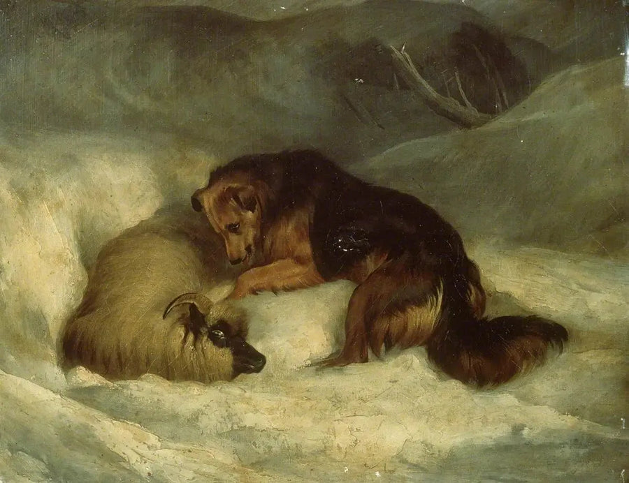 Highland Çoban Köpeği karla kaplı (eski adıyla "Bir koyunu kar yığınından kurtaran çoban köpeği") - Edwin Henry Landseer