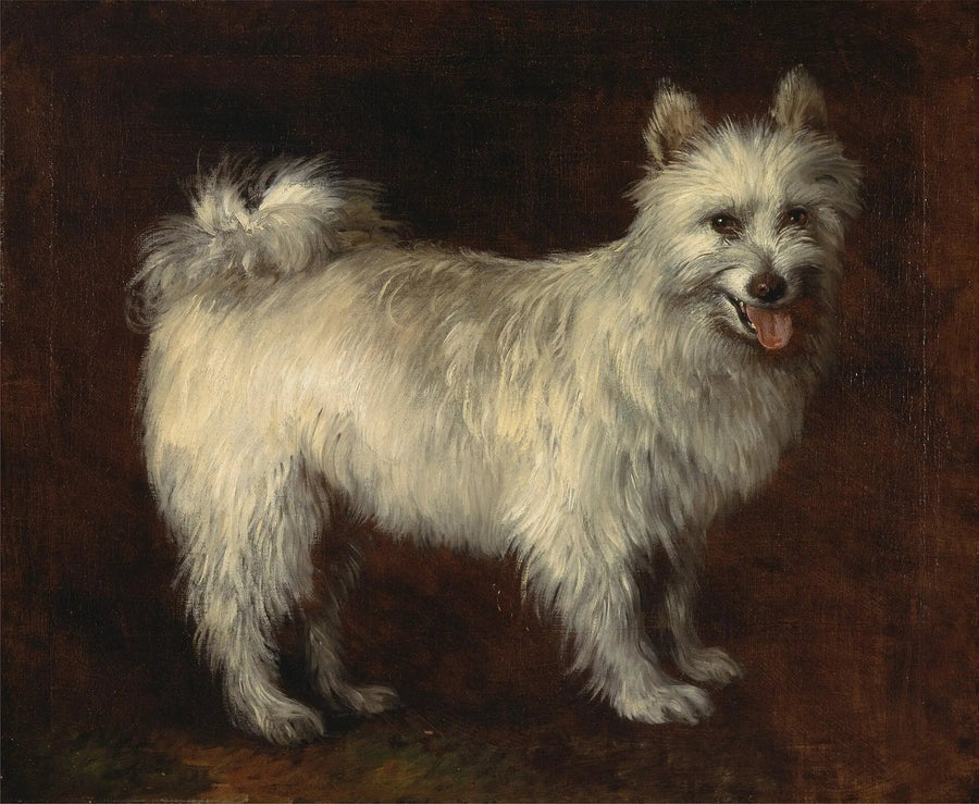 Spitz Köpek - Thomas Gainsborough