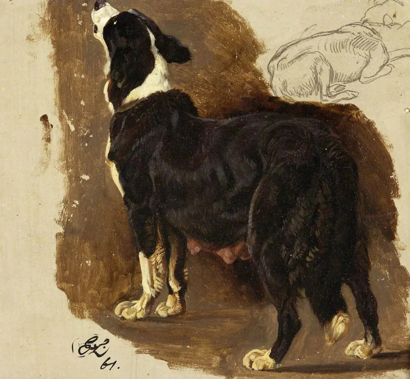 Colley Dişi - Edwin Henry Landseer