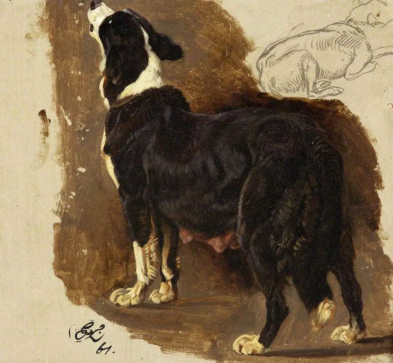 Colley Dişi - Edwin Henry Landseer