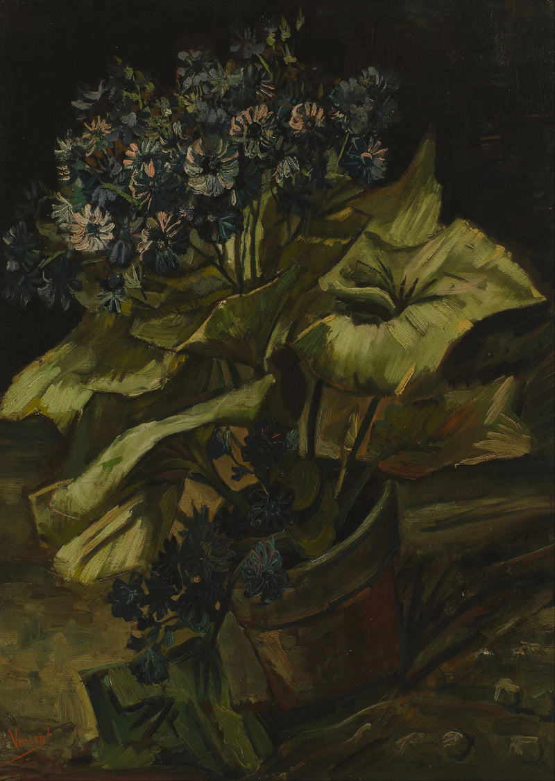 Cinéraire - Vincent van Gogh