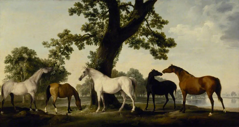 Dük Cumberland'ın Büyük Parkı'nda yetiştirilen beş dişi at - George Stubbs