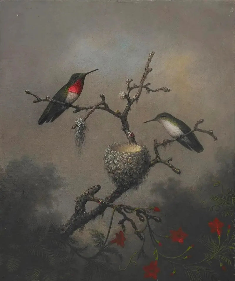 Yakut Boğazlı Kolibri - Martin Johnson Heade