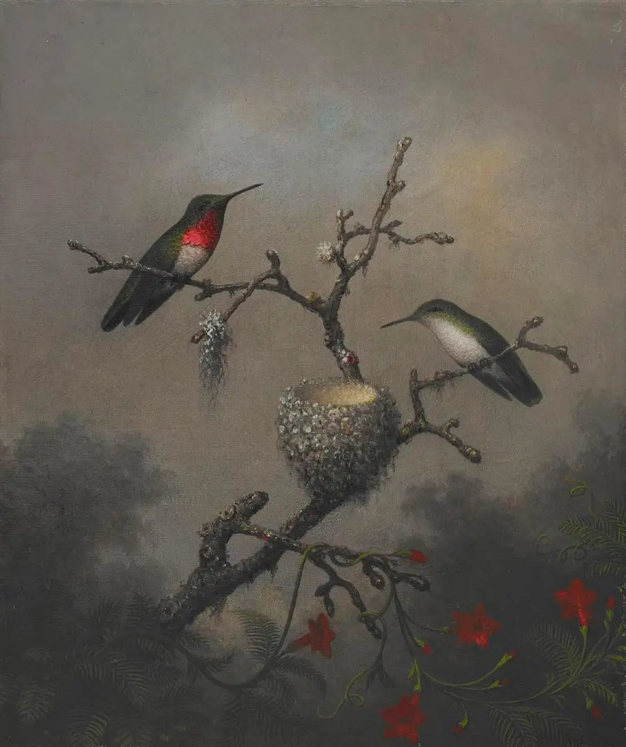 Colibri à gorge rubis - Martin Johnson Heade - Alpha Reproduction