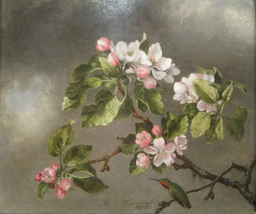 Colibri ve elma çiçekleri - Martin Johnson Heade