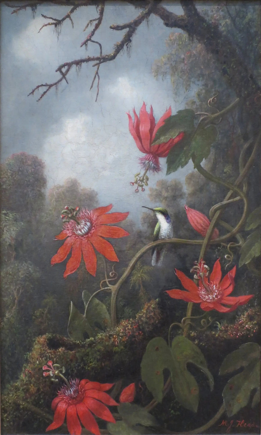 Colibri ve passiflorlar - Martin Johnson Heade