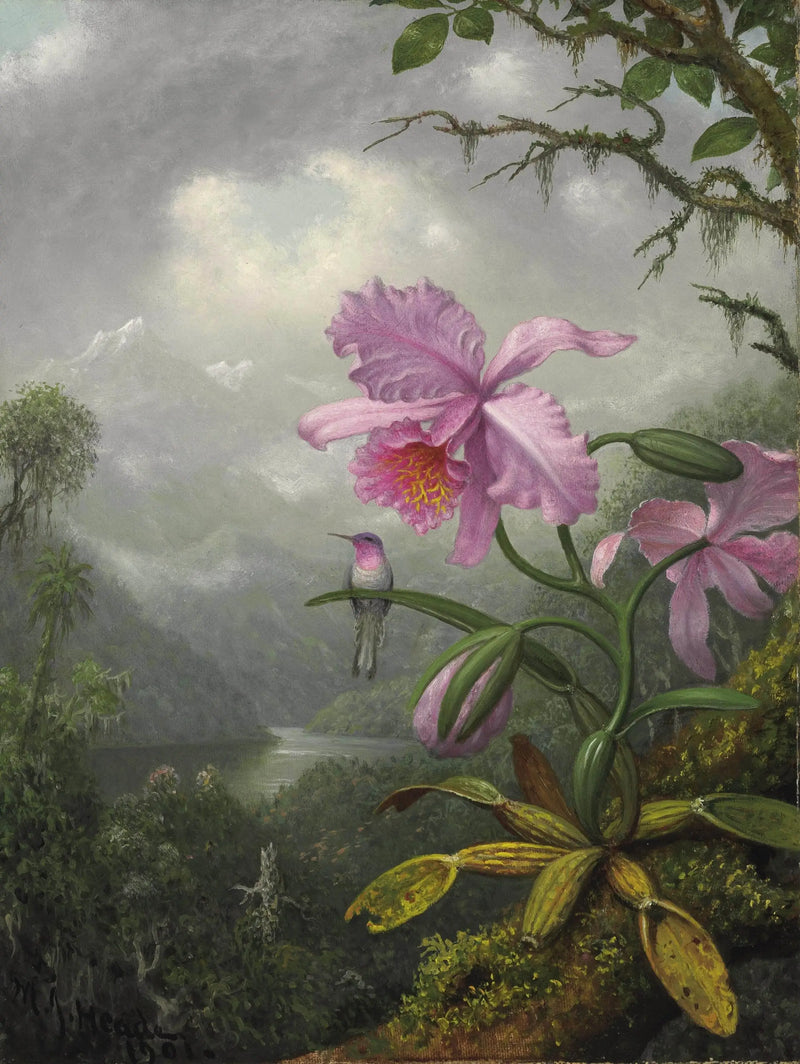 Orkide bitkisi üzerinde oturan Kolibri - Martin Johnson Heade
