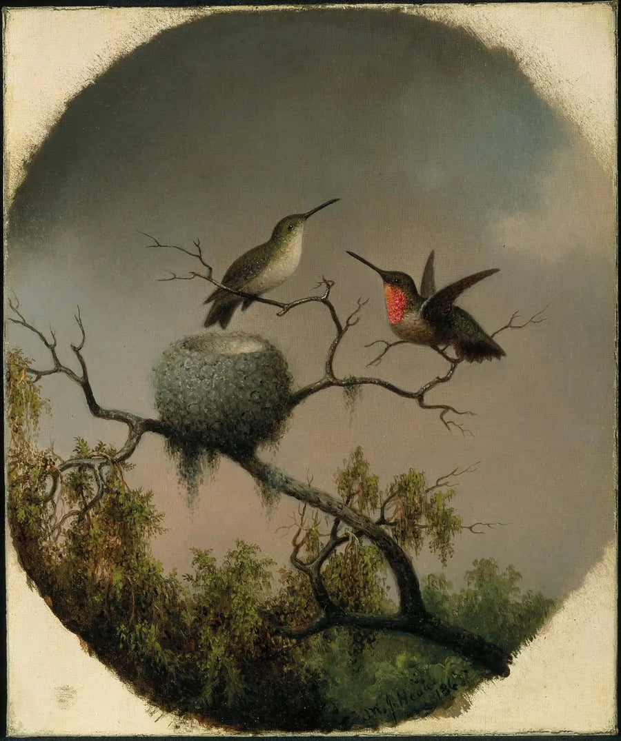 Kuşlar ve Yuva - Martin Johnson Heade