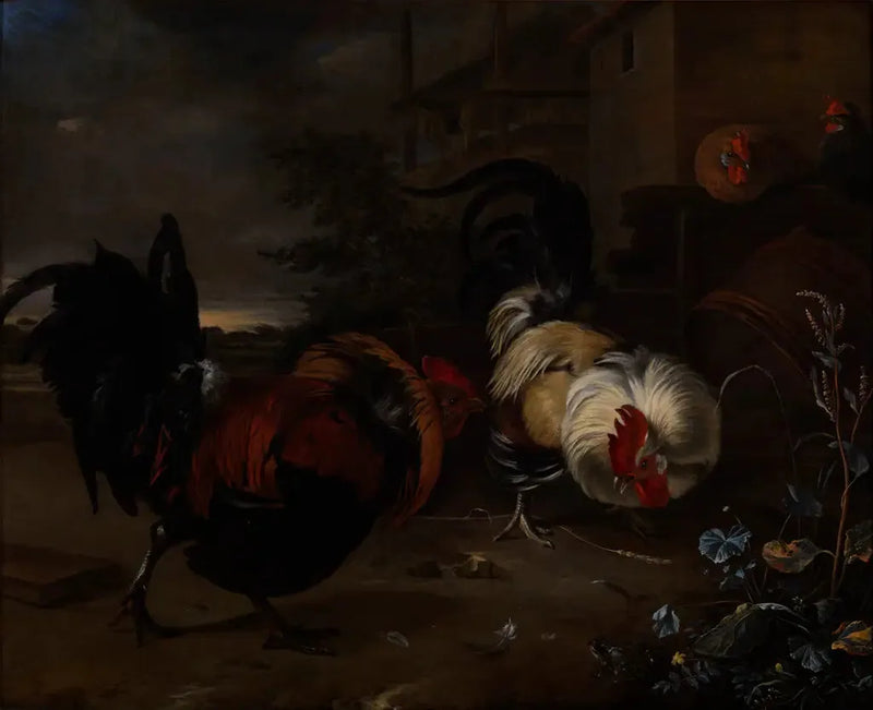 horoz dövüşü - Melchior de Hondecoeter