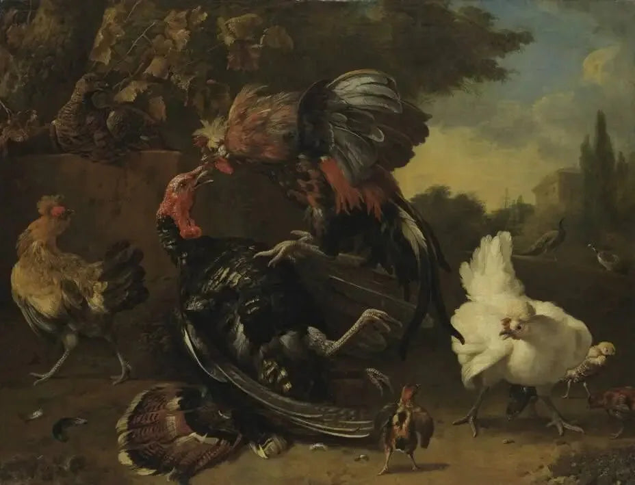 Combat entre un coq et une dinde - Melchior de Hondecoeter image 1 reproduction réalisée par Alpha Reproduction
