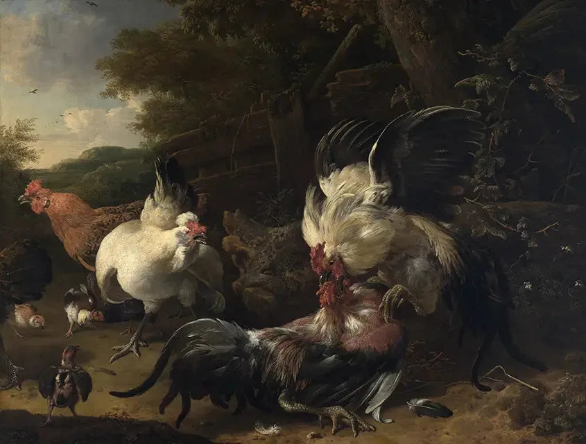 Horoz Dövüşleri - Melchior de Hondecoeter