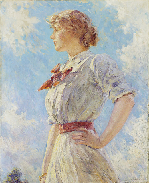 Gökyüzüne Karşı - Robert Lewis Reid