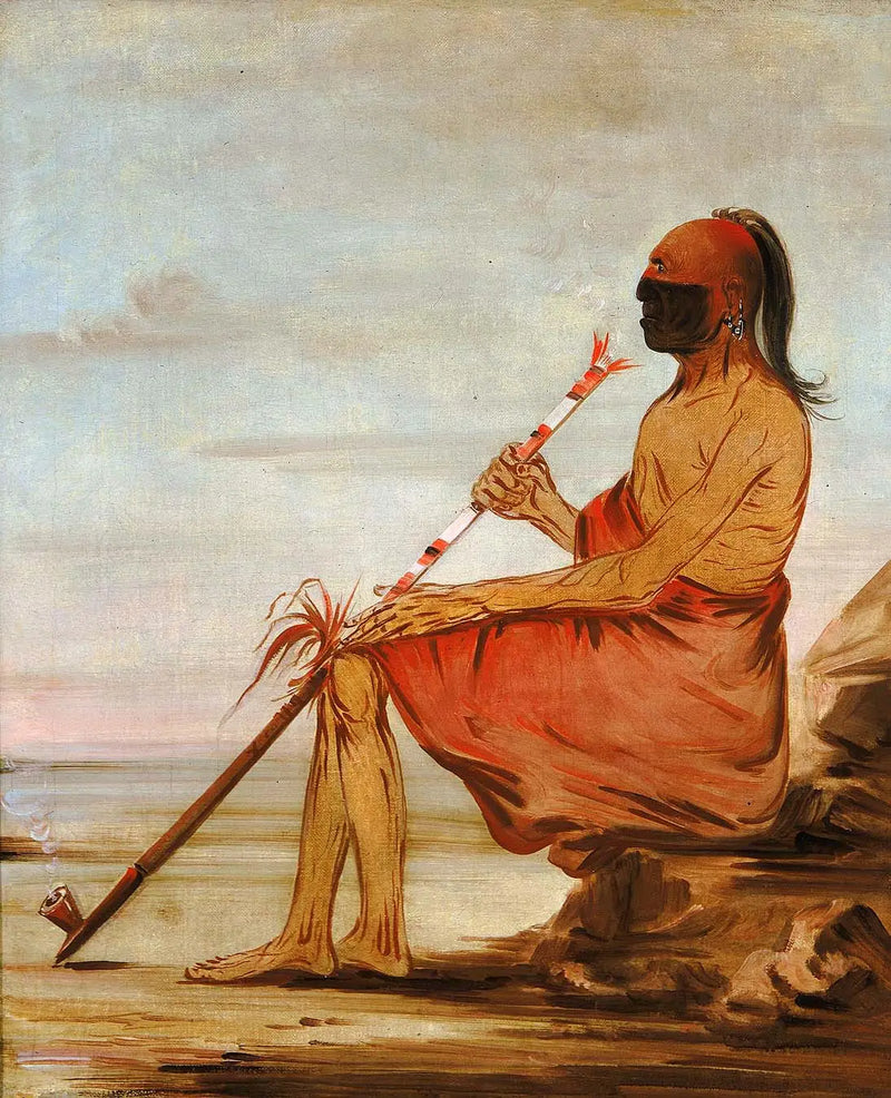 Coo-coo-coo, baykuş, yaşlı şef - George Catlin