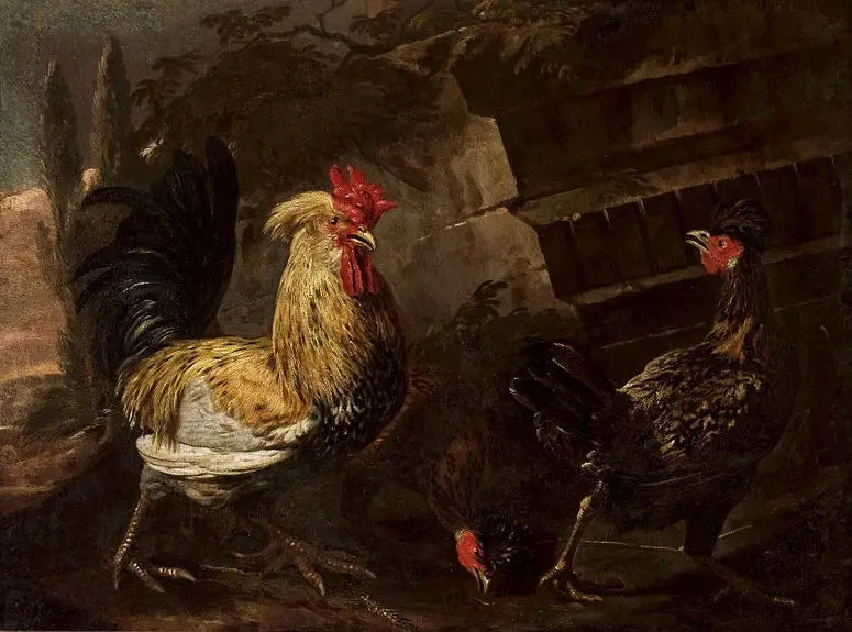 Horoz ve tavuklar. - Melchior de Hondecoeter
