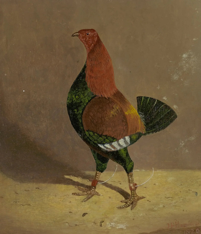 Dövüş horozları: sol tarafa dönük, koyu göğüslü dövüş horozu - John Frederick Herring, Sr.