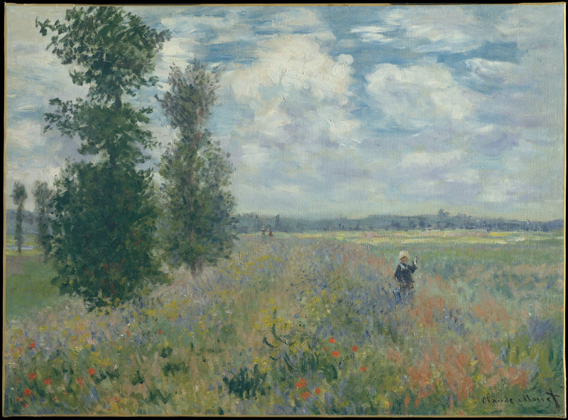 Argenteuil W380 - Claude Monet yakınındaki haşhaş tarlaları