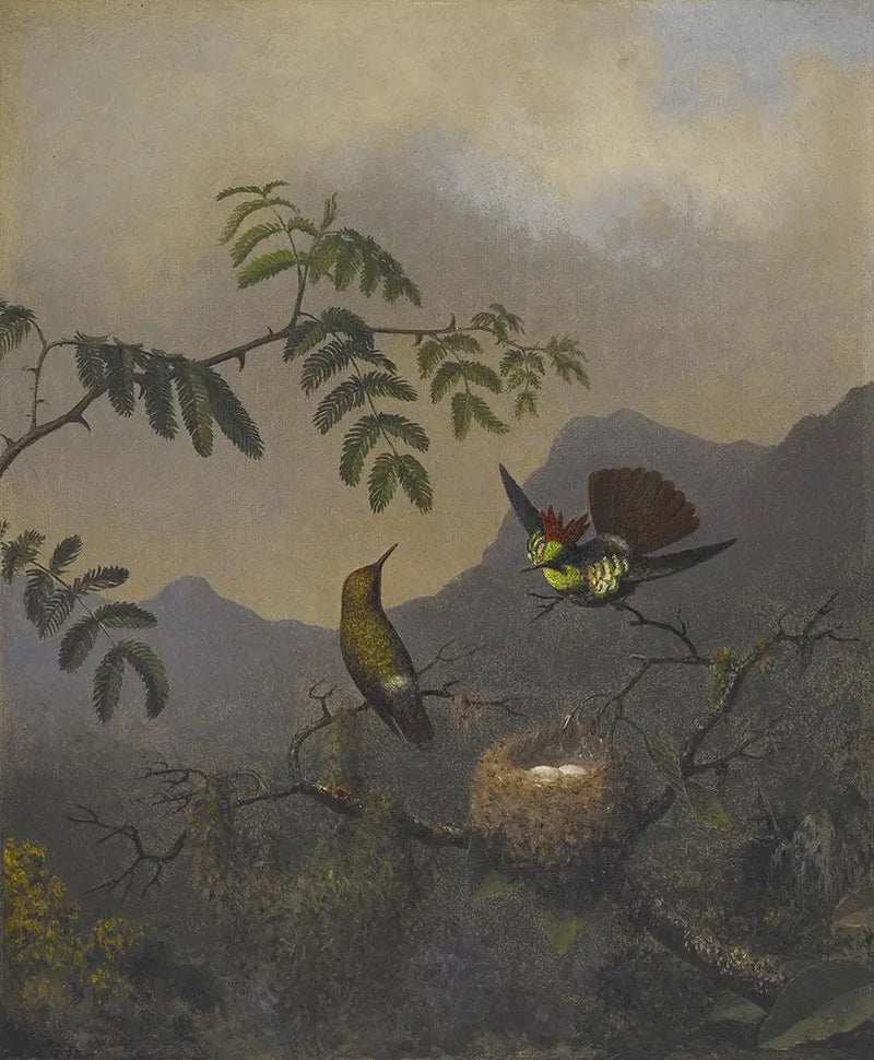 Fırfırlı Şık Kadın - Martin Johnson Heade
