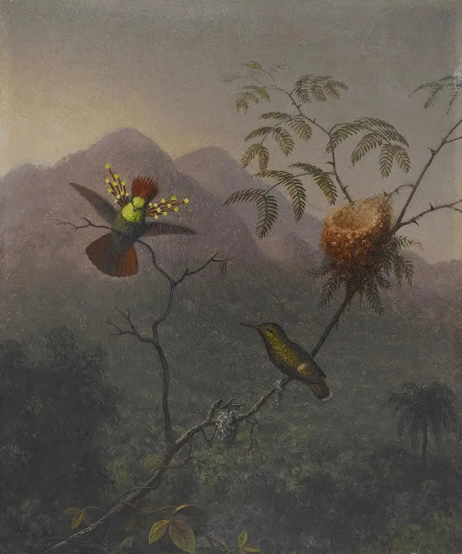 Şehvetli Kabartmalı - Martin Johnson Heade