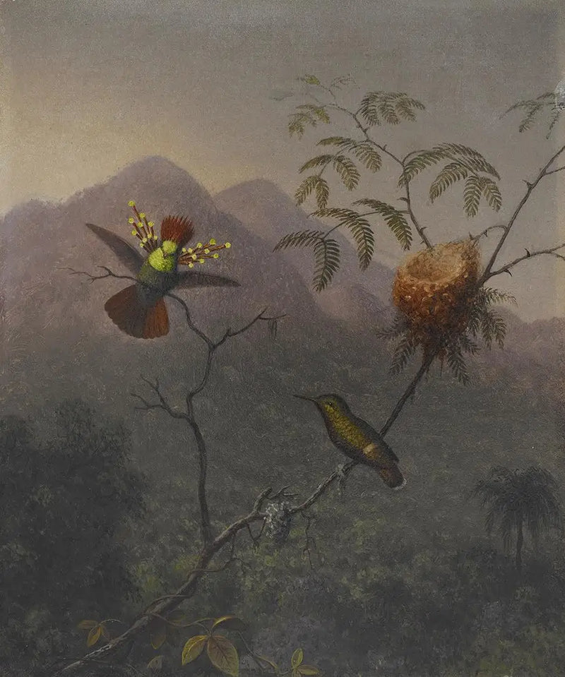 Şehvetli Kabartmalı - Martin Johnson Heade