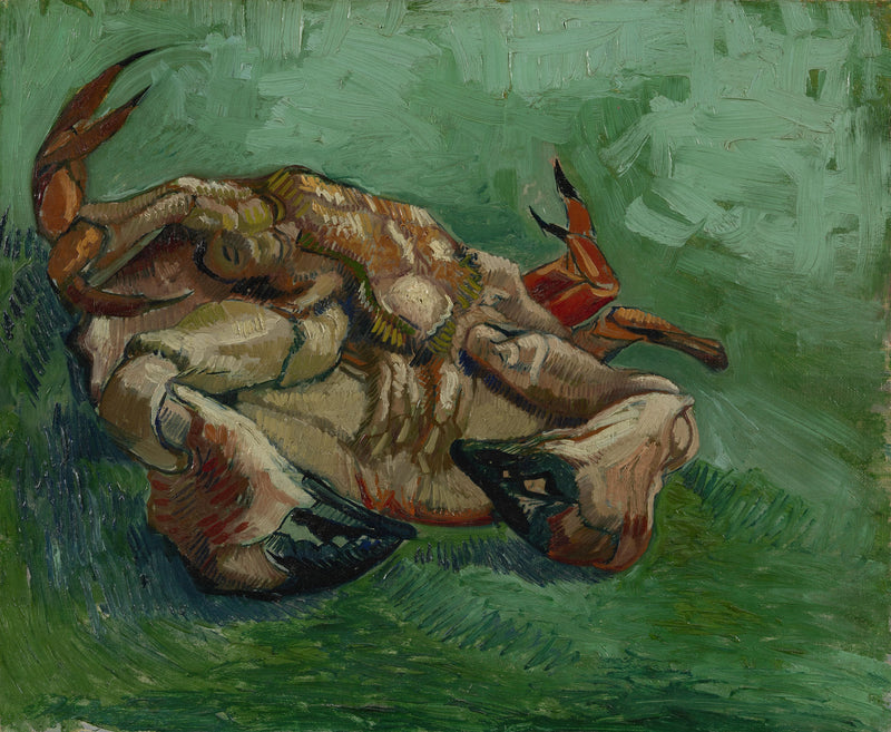 Yengeç, sırt üstü yatıyor - Vincent van Gogh