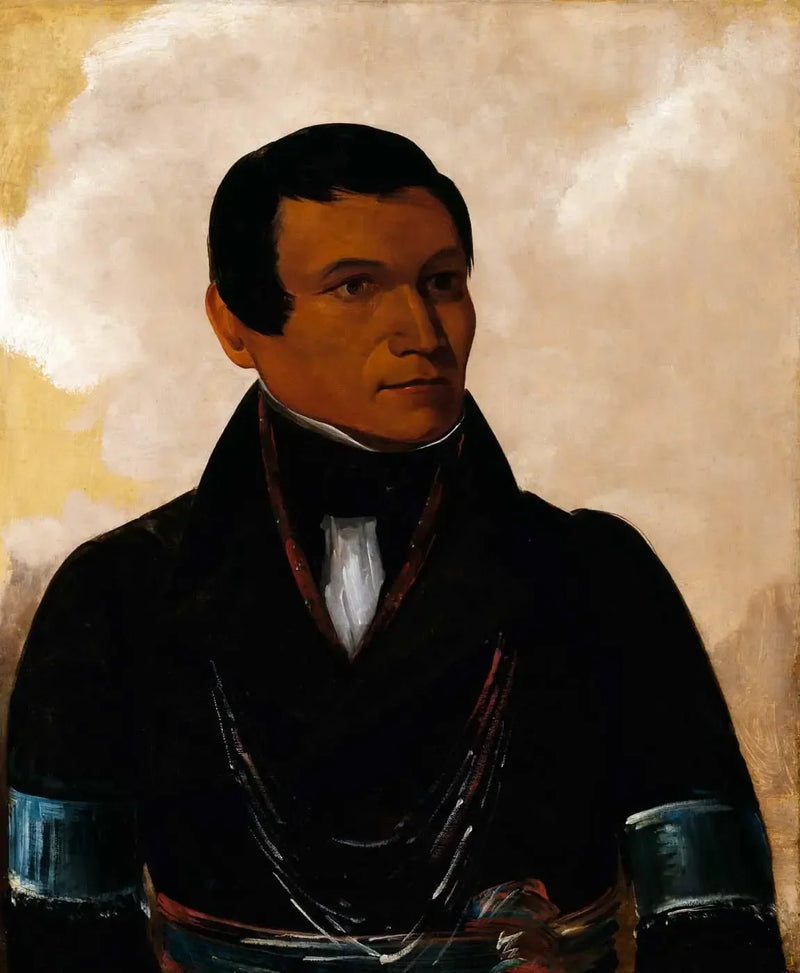 Cú-sick, şefin oğlu - George Catlin