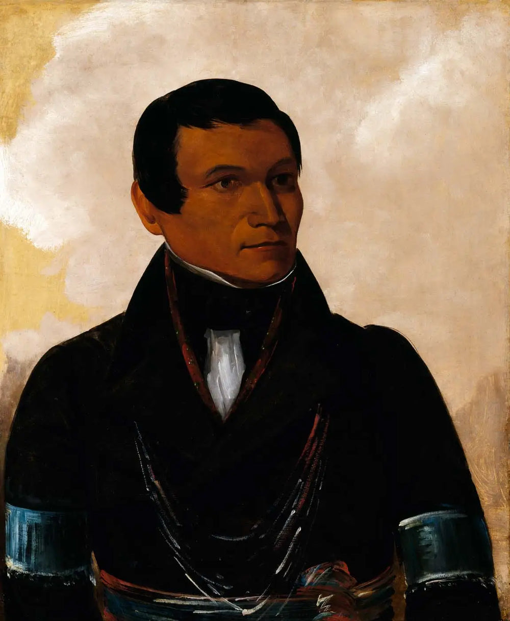 Cú-sick fils du chef - George Catlin - Alpha Reproduction