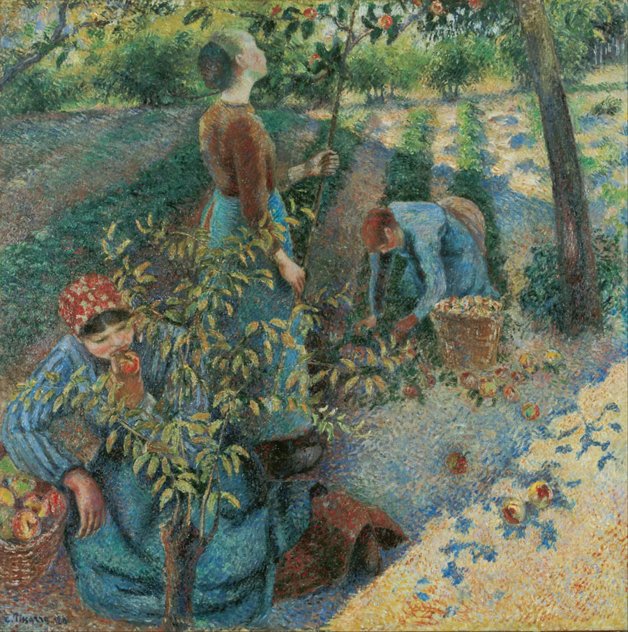Elma Toplama - Camille Pissarro