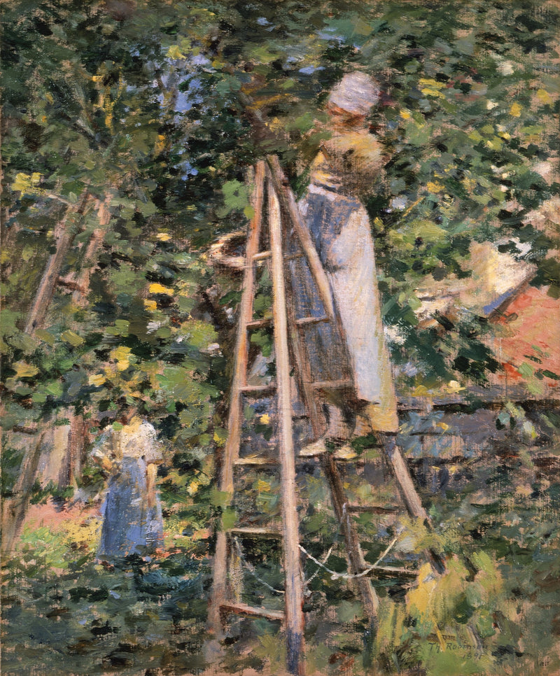 Erik Toplama - Theodore Robinson