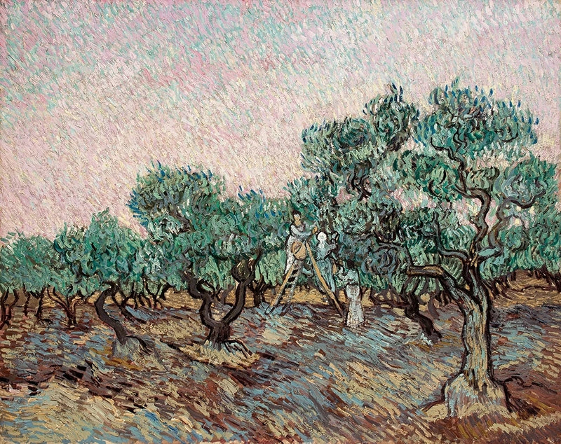 Zeytin Hasadı - Vincent van Gogh